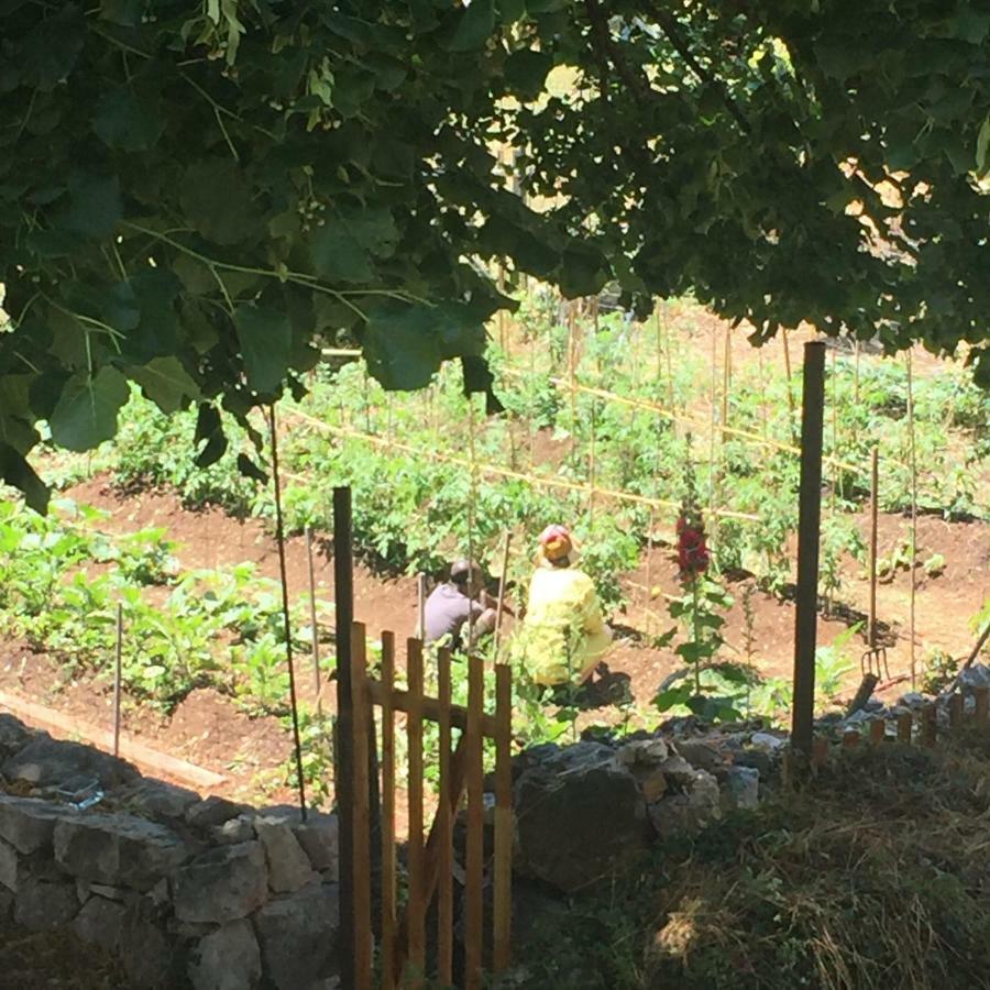 Coursegoules Maison Marthe - Maison Nomade Chic מראה חיצוני תמונה